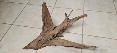 Legno Radice Acquario