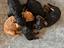 Immagine 1