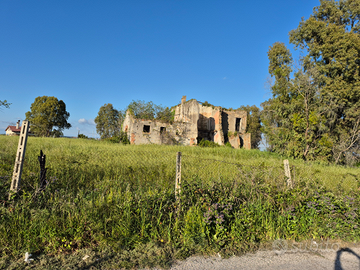 Terreno edificabile adiacenze ss148 ardea