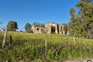 Terreno edificabile adiacenze ss148 ardea