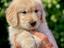 Immagine 16