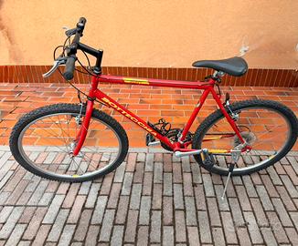 Bicicletta mountain-bike Bottecchia