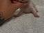 Immagine 2