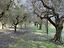 Immagine 13