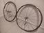 Immagine 2