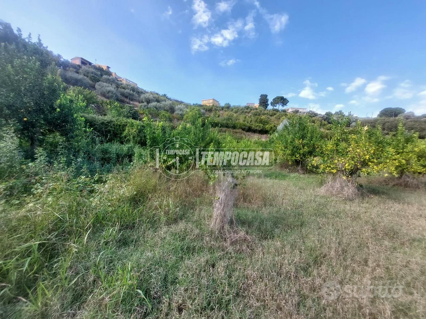 TERRENO AGRICOLO DI UN ETTARO A PACE DEL MELA. - Altro