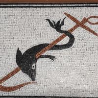 Mosaico Delfino