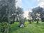 Immagine 20