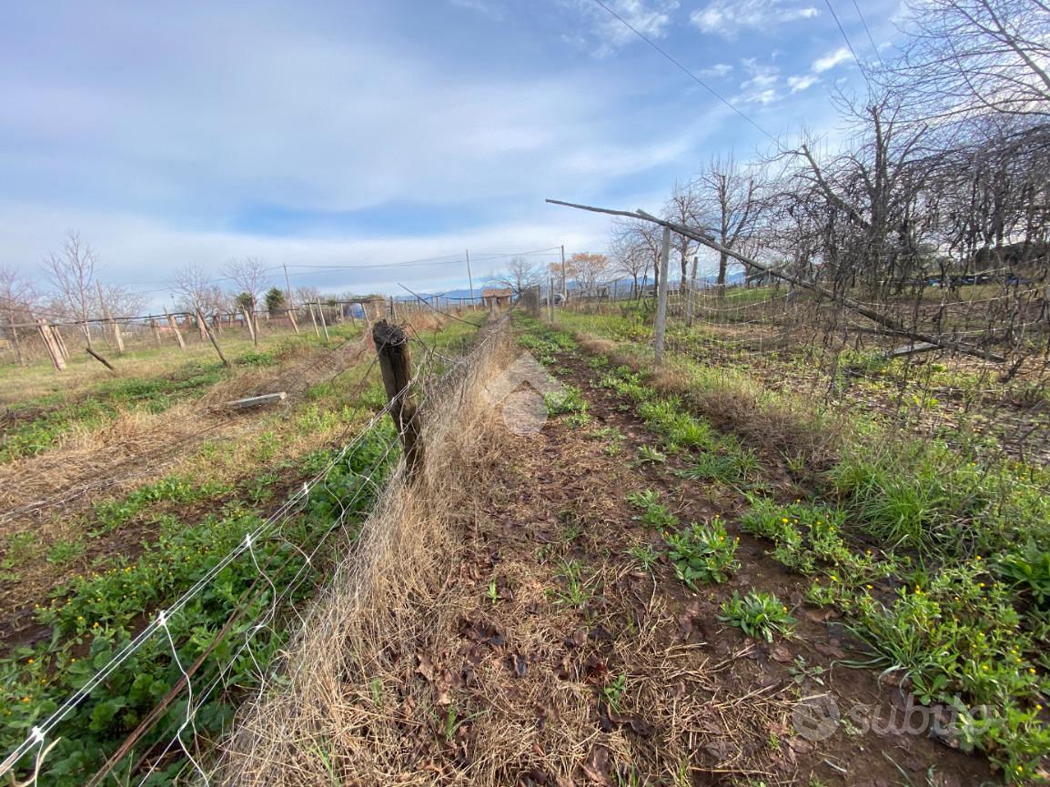 TER. AGRICOLO A SAN CESAREO - Vista 5