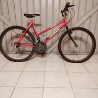 MTB VISTA E PIACIUTA