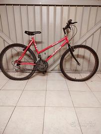 MTB VISTA E PIACIUTA