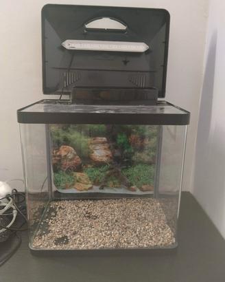 Acquario 