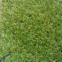 PRATO SINTETICO 25MM €7.99 ALQ MQ