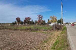 Terreno NON edificabile Stanghella