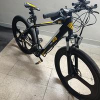 ebike