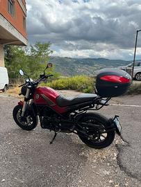 Benelli leonicono 502