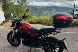 Benelli leonicono 502