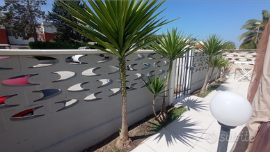 Gargano casa vacanze residence ippocampo