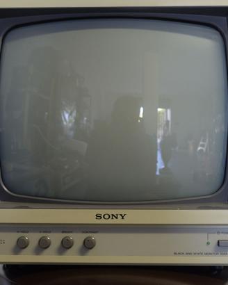 Monitor Vintage Sony Black and White SSM-121CE