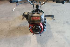 MOTOZAPPA BENASSI
