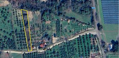 Terreno-bosco agricolo