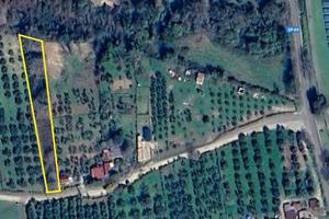 Terreno-bosco agricolo