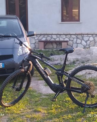 Bici pedalata assistita