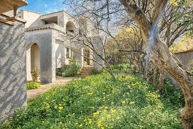 Terralba - ampia indipendente libera su tre lati