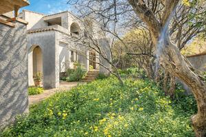 Terralba - ampia indipendente libera su tre lati