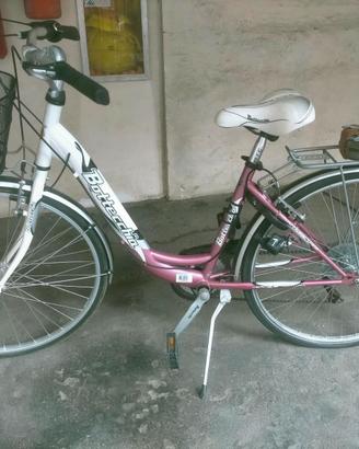 bottecchia 