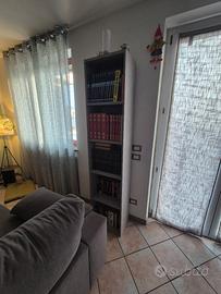 Libreria cemento