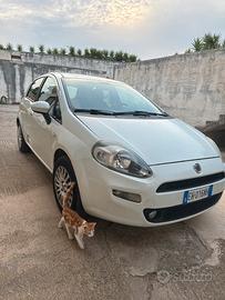 Fiat punto evo bianca