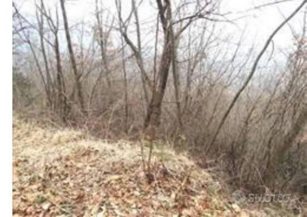 Immobile in asta di 133870 m² a Nimis - Vista 2