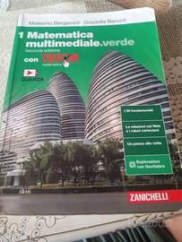 Matematica multimediale.verde