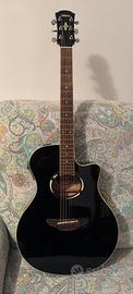 Chitarra Acustica Apx 500