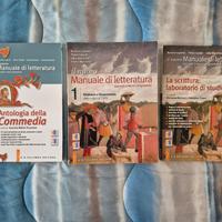 Il Nuovo Manuale di Letteratura Volume 1