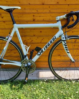 Bici da corsa in carbonio