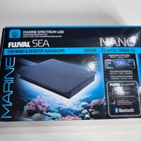 Plafoniniera acquario marino