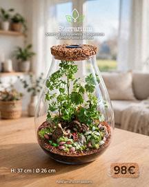 terrarium con igrometro 