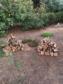 Legna di olivo da ardere