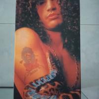 box serpent power guns n roses 