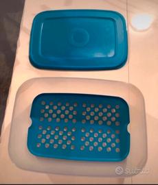 Contenitore porta formaggi Gio Style