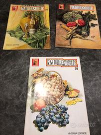 Arte - Collana Leonardo Nature morte  per pittori