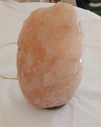 Lampada Di Sale Rosa elettrica