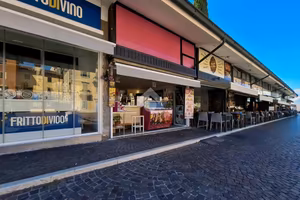 ATTIVITÀ A PESCHIERA DEL GARDA