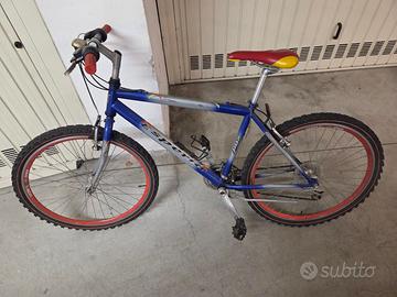 biciclette per adolescenti