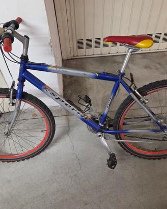 biciclette per adolescenti