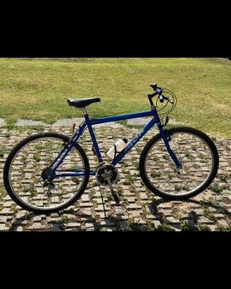 Bicicletta uomo
