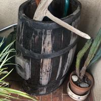 Barilotto botticella