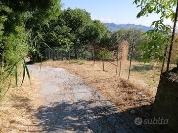 Terreno agricolo Vill. Santo Stefano Medio